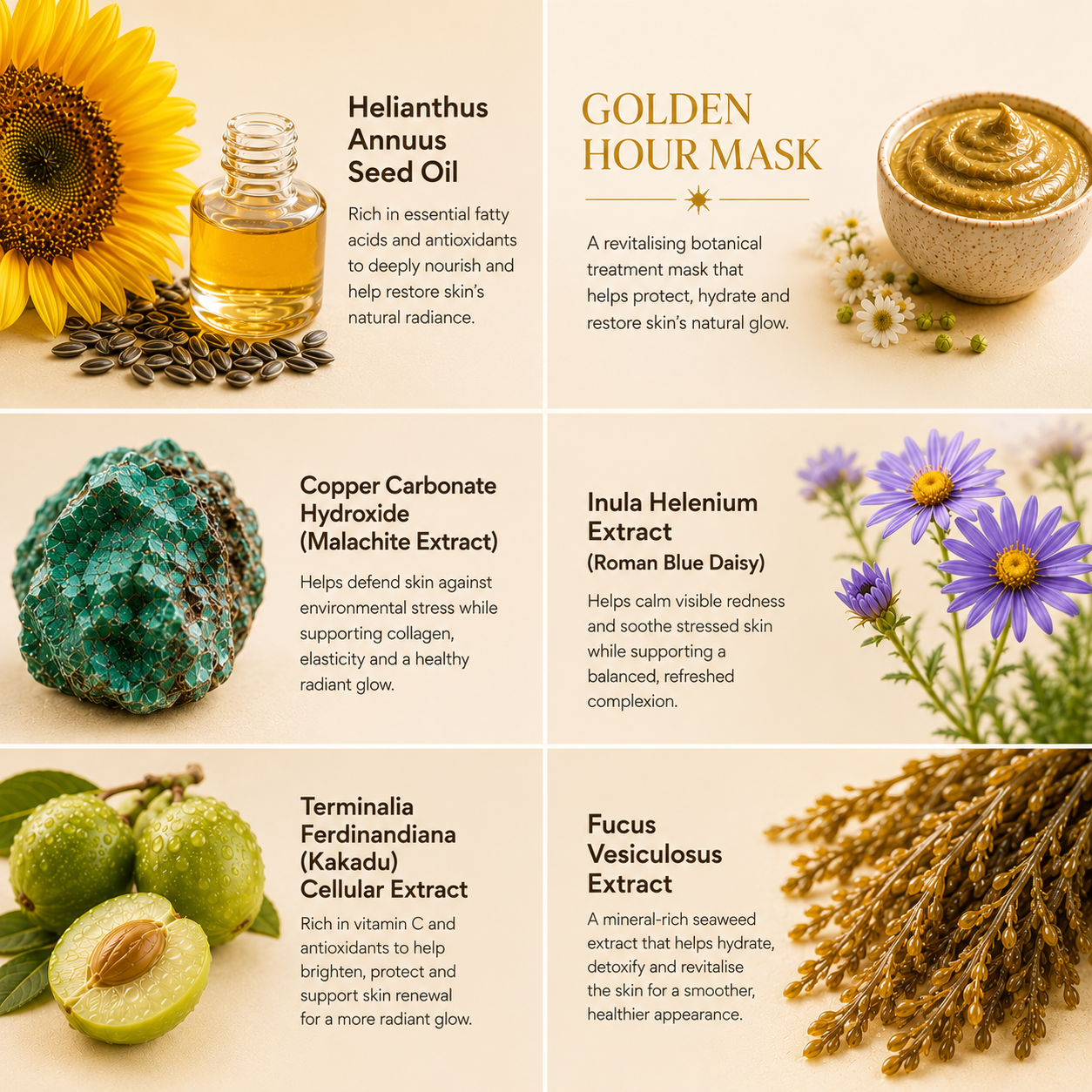 Golden Hour Jelly Mask Refill | Natural, Sustainable Refillable Mask for Skin Rejuvenation
