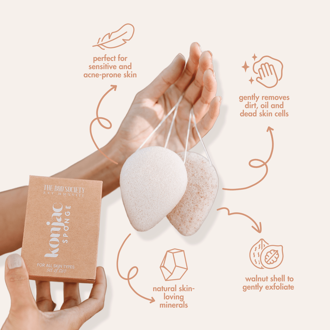 Facial Konjac Sponges  | Face Cleanser Sponge